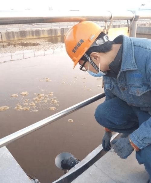 污水處理廠喝上 青島啤酒 ,放錯位置的碳源有了新出路