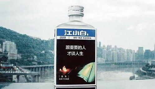 江小白為何淪落成了 狗都不喝的酒